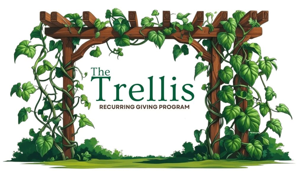 The trellis logo